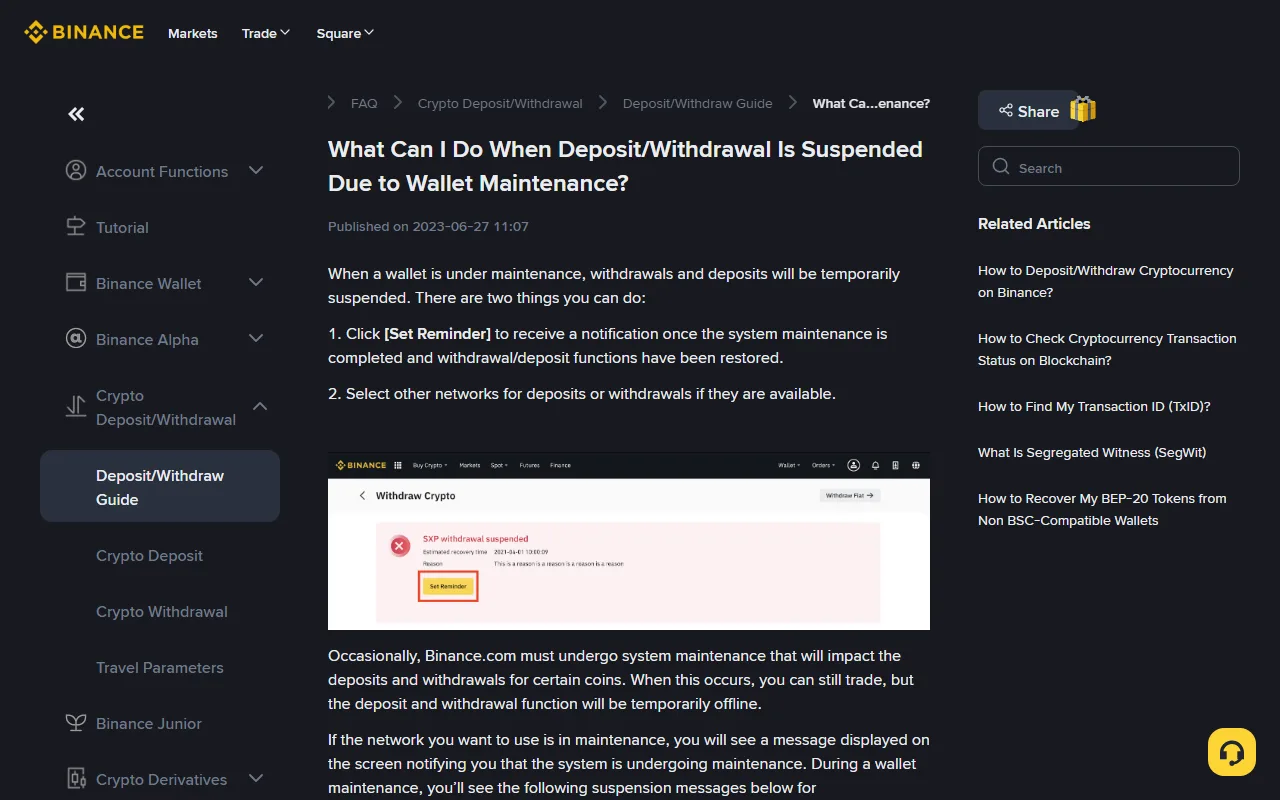 Binance help-centre page "What Can I Do When Deposit/Withdrawal Is Suspended Due to Wallet Maintenance?", showing the Set Reminder option and a sample withdrawal page with a coin-level suspension notice